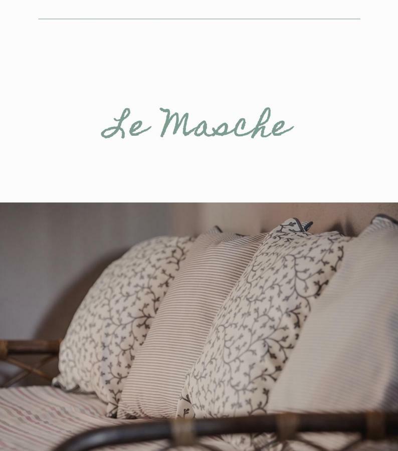 Bed & Breakfast Il Mio Gelso Villanova d'Asti Exterior photo