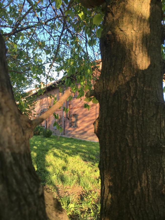 Bed & Breakfast Il Mio Gelso Villanova d'Asti Exterior photo