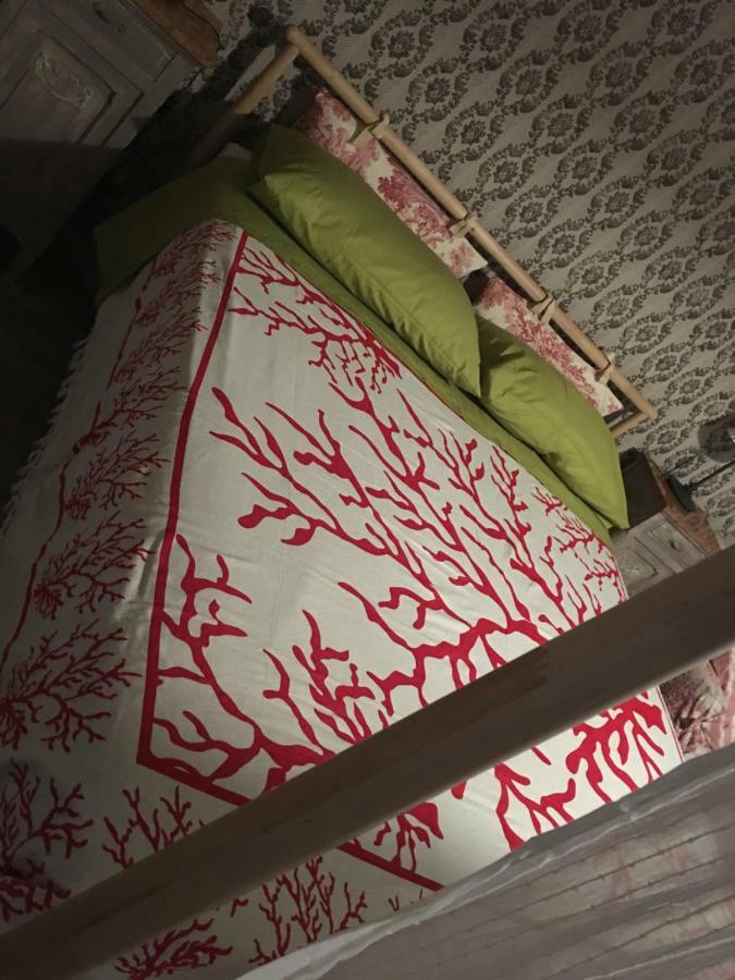 Bed & Breakfast Il Mio Gelso Villanova d'Asti Exterior photo